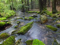 North Branch Buffalo Creek