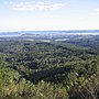 Vignette pour Forêt nationale de Piraí do Sul