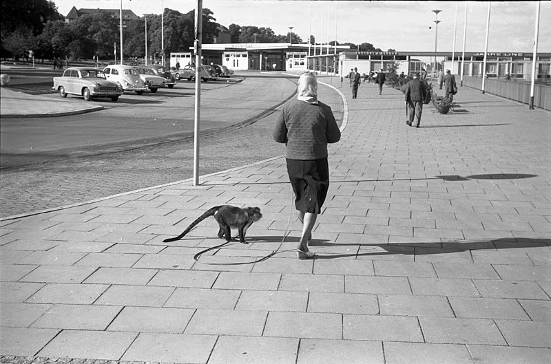 File:Frau mit Affen an der Leine (Kiel 30.808).jpg