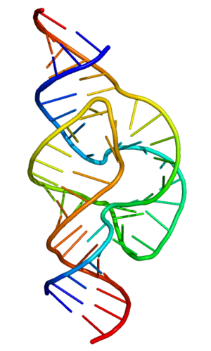 Rna: So sánh với DNA, Cấu trúc, Tổng hợp