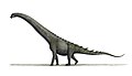Futalognkosaurus Original by NobuTamura
