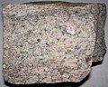 Garnetiferous gneiss (Archean, ~3.3 Ga; Quad Creek section, Beartooth Mountains, Montana, USA) (31101738782).jpg