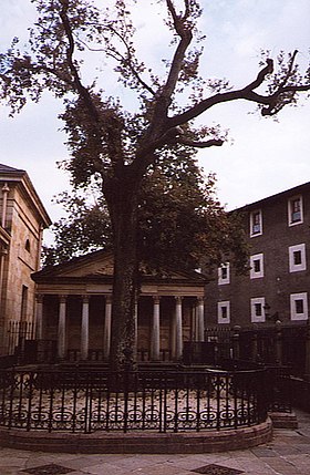 Arborele lui Gernica în 1997