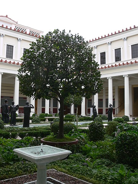 File:Getty Villa - small courtyard tree.jpg