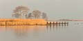 * Nomination Goëngarijpsterpoelen (Frysk) Goaiïngarypster Puollen View of the lakes from Heerenzijl. The first rays of sunshine in the morning dispel the mist. and shine on the trees and the reeds. --Famberhorst 06:00, 7 April 2019 (UTC) * Promotion  Support Good quality. --Ercé 06:21, 7 April 2019 (UTC)