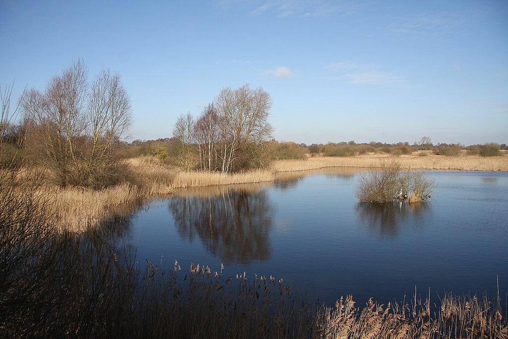 Woodwalton Fen