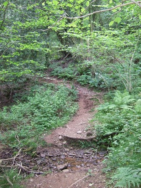 File:Graig Llanishen Footpath, Thornhill - geograph.org.uk - 443140.jpg