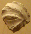 A fragmentary head from the Great Temple of the Aten.