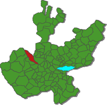 Guachinango