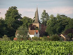 Hall Farm a kostel Fairstead - geograph.org.uk - 1448620.jpg