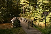 Kinzigsteg, un ponte di legno sulla Kinzig nel bosco di Bulau presso Hanau