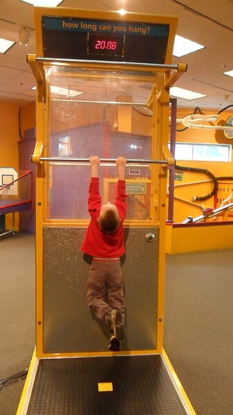 File:Hanging exhibit ScienceWorks Museum.JPG