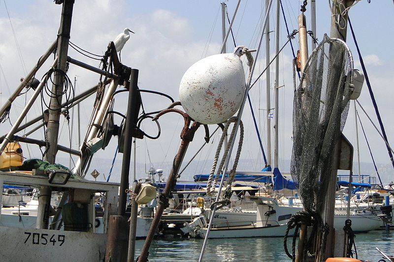 File:Harbor Scene with Pelican - Akko (Acre) - Israel (5693151489).jpg