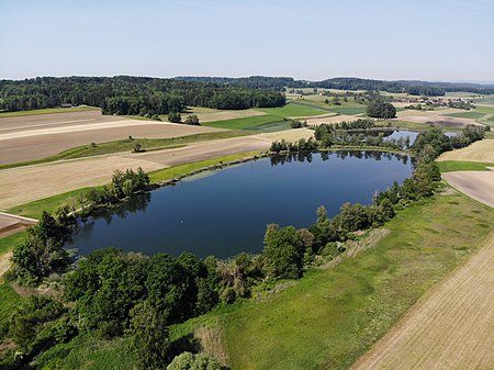 Hasensee DJI