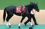 ハットトリック (競走馬)のサムネイル