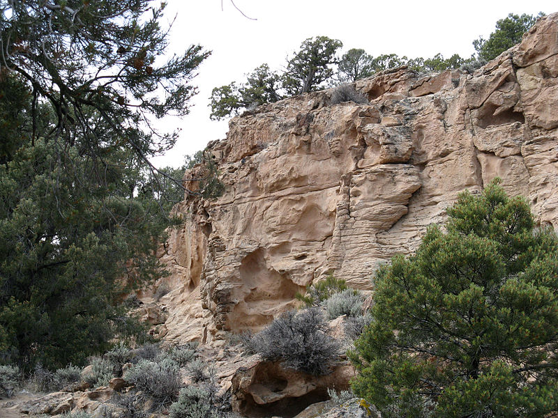 File:Hickison Petroglyph Recreation Area.jpg