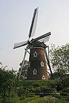 Hilvarenbeek - molen De Doornboom.jpg