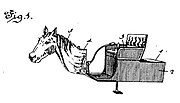 Thumbnail for Horsey Horseless