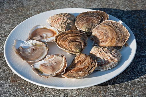 Huitres Cancale - flat oysters