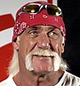 Hulk Hogan cropped.jpg