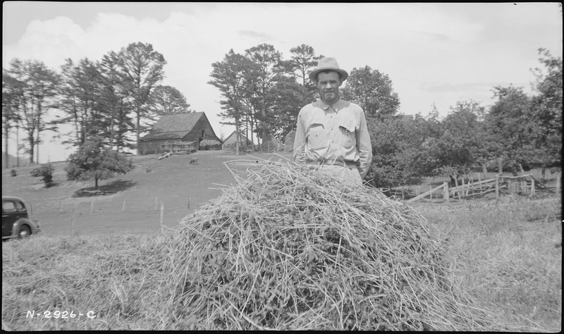 File:Hunter, W.W., with clover - NARA - 279935.tif