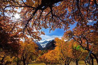 "Hunza_Peak.jpg" by User:Usmanmiski