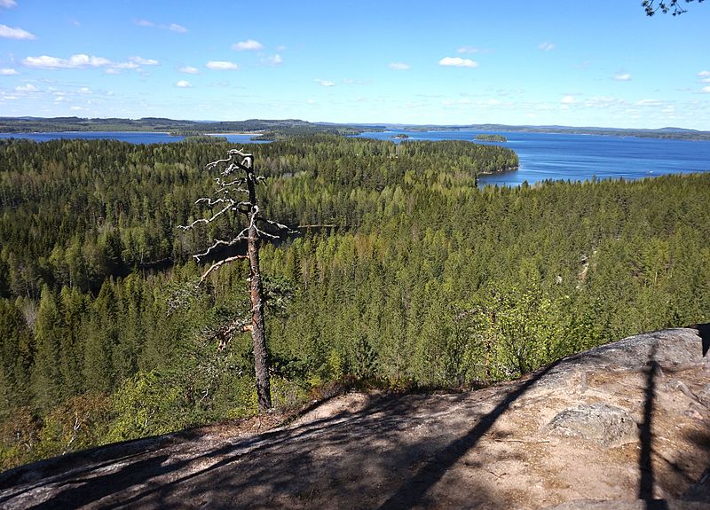 File:Hyyppänvuori - view.jpg