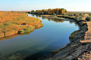 <span class="mw-page-title-main">Ilek (river)</span> River in Kazakhstan