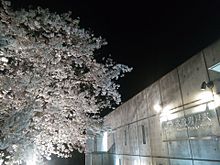 夜間の駅舎（2017年4月）