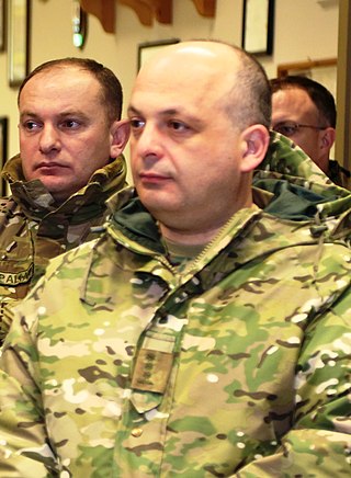 <span class="mw-page-title-main">Irakli Dzneladze</span> Georgian brigadier general