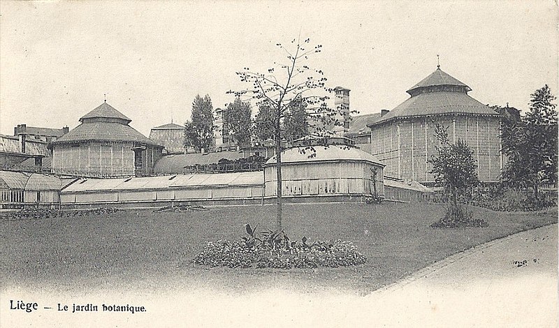 File:Jardin botanique de Liège - Serres complètes.jpg