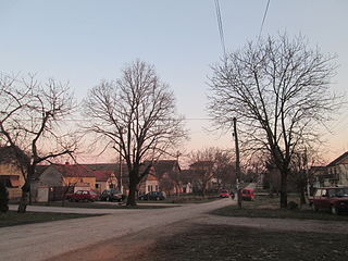 <span class="mw-page-title-main">Jarkovci</span> Village in Vojvodina, Serbia