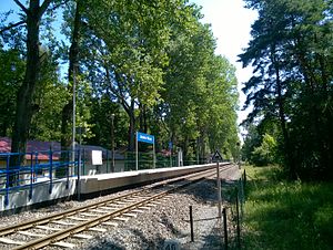 Jastarnia Wczasy tren istasyonu.jpg