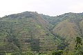 Kabale, Kisoro, Kanungu - Southwestern Uganda 05.jpg