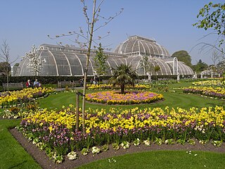 Kew Gardens, London (UK)