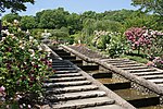 Miniatura para Jardín botánico Kitayama