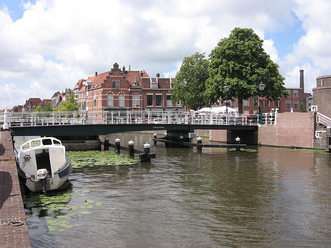 Kleine Havenbrug