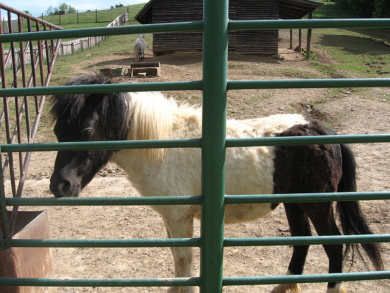 File:Košice ZOO 47.jpg