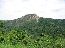 Barron Gorge National Park things to do in Kuranda