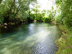 La fontaine.