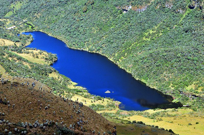 File:Laguna Negra - Páramo de Ocetá.jpg