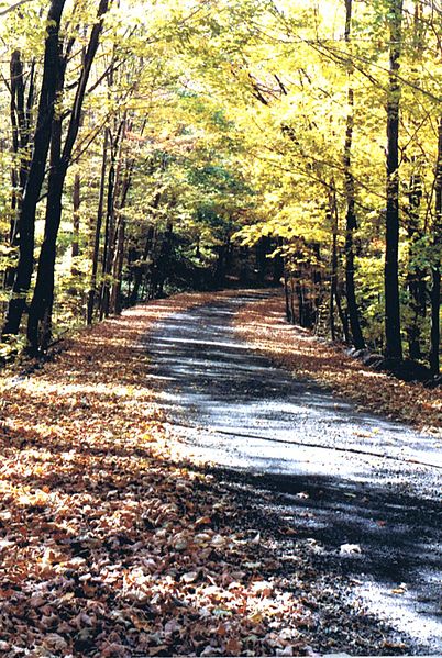 Autumn on a small state road near the Pennsylvania Turnpike in Laurel Mountains.