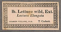 Salat yovvoyi ekstrakti Lactuca Elongata.jpg