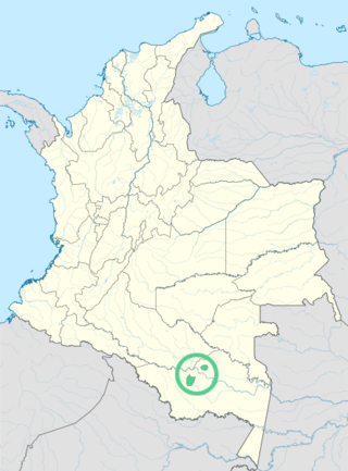 <span class="mw-page-title-main">Muinane language</span> Language spoken in Colombia