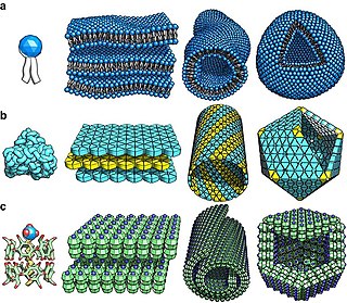<span class="mw-page-title-main">Nanoarchitectonics</span> Arrangement of nanoscale structural units into desired configurations