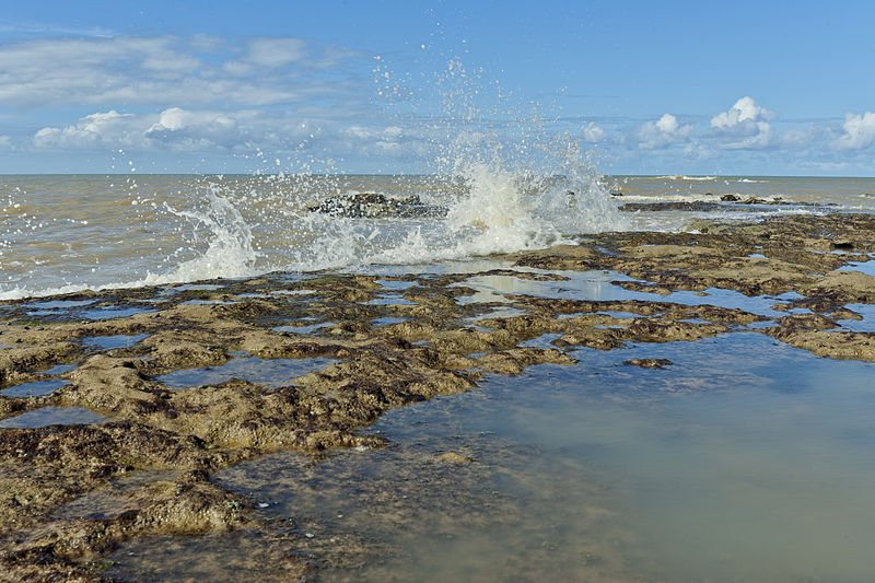 File:Litoral da Bahia em Cumuruxatiba.jpg