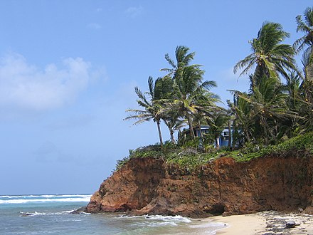 The beach in front of Casa Iguana