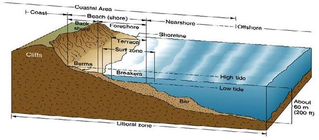 A simplified diagram of the littoral zone, which includes the coast and nearby waters