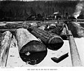 Log pond, unidentified mill, Washington, 1910 (INDOCC 35).jpg