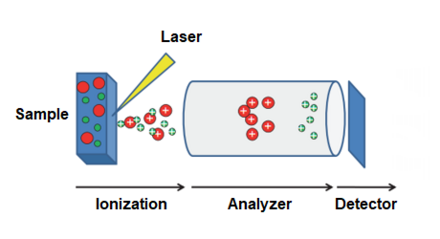 Diagram of a MALDI TOF instrument. Sample matrix ionized by radiant energy is ejected from surface. Sample travels into mass analyzer and is substantially detected.